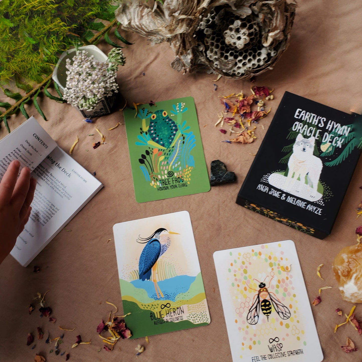 PRE-ORDER! Earth's Hymn Oracle Deck