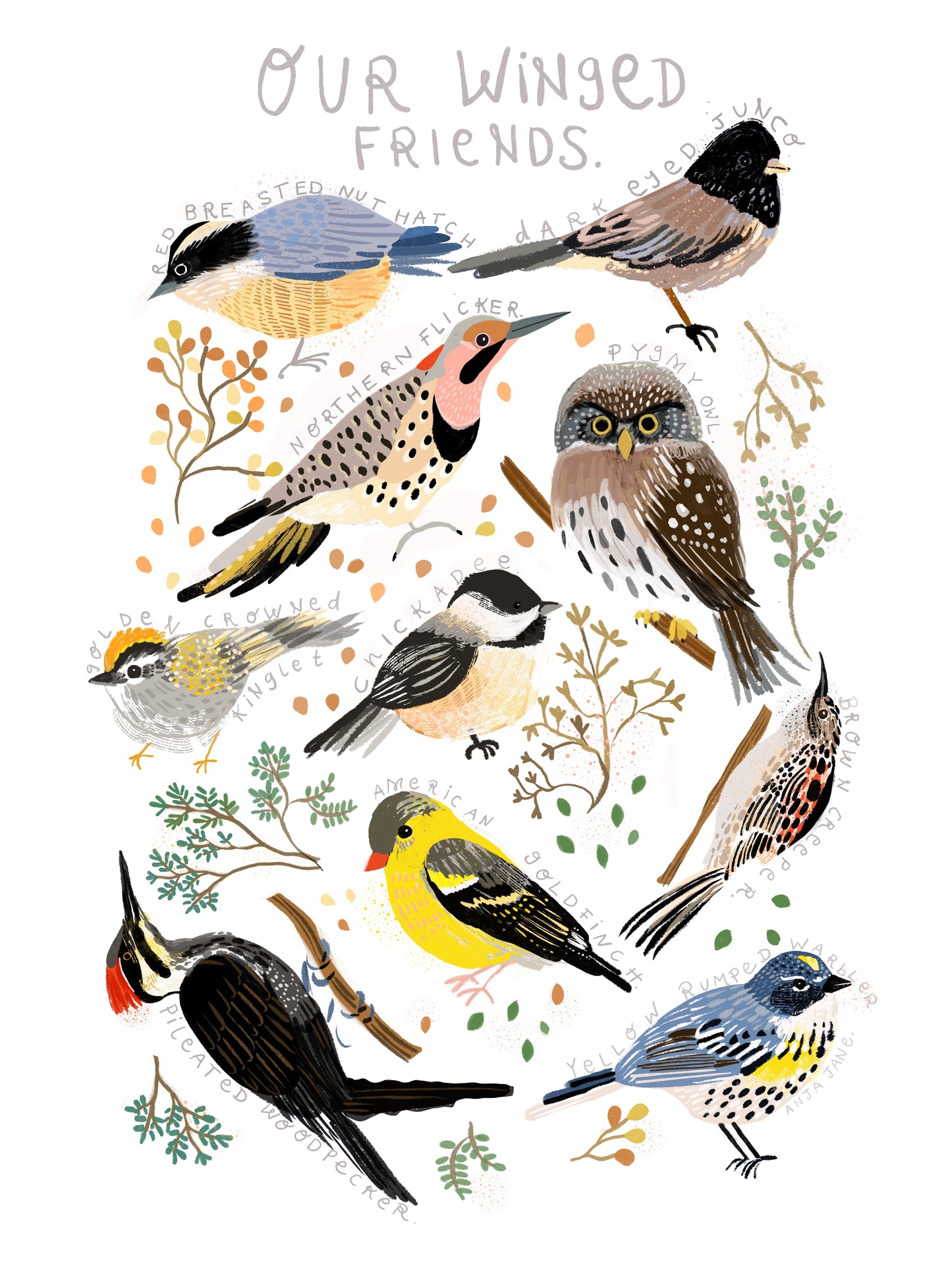 Birdsong Meditation Garden | Bird Art Print