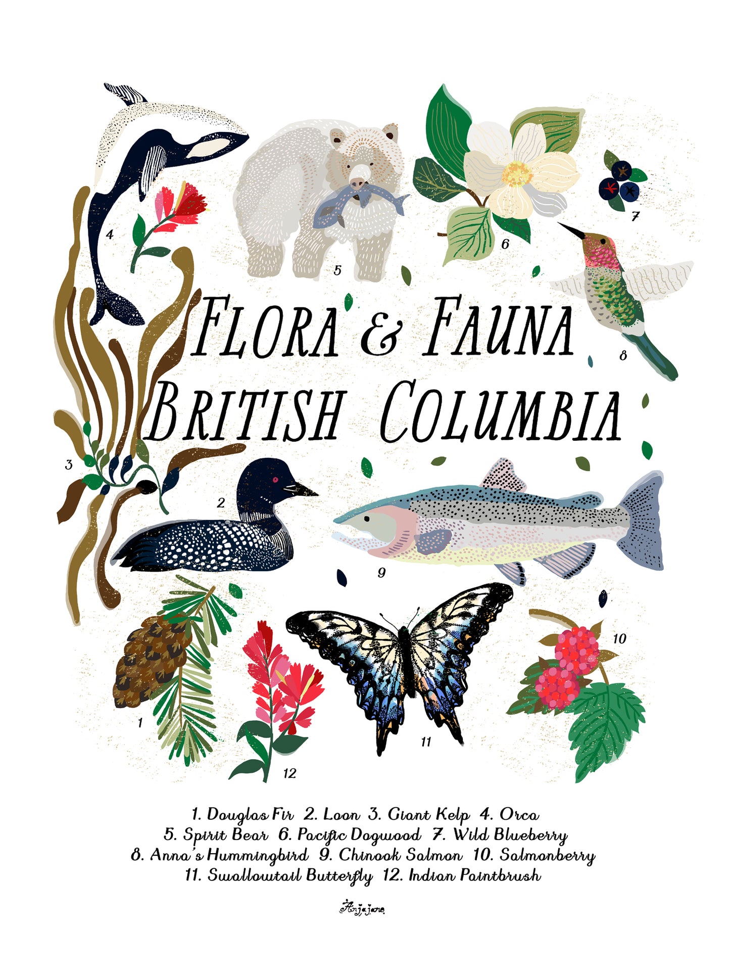 Flora and Fauna No. 1 Art Print Set