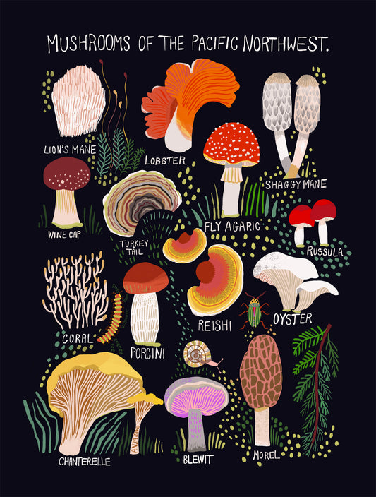 Mushroom Art Print