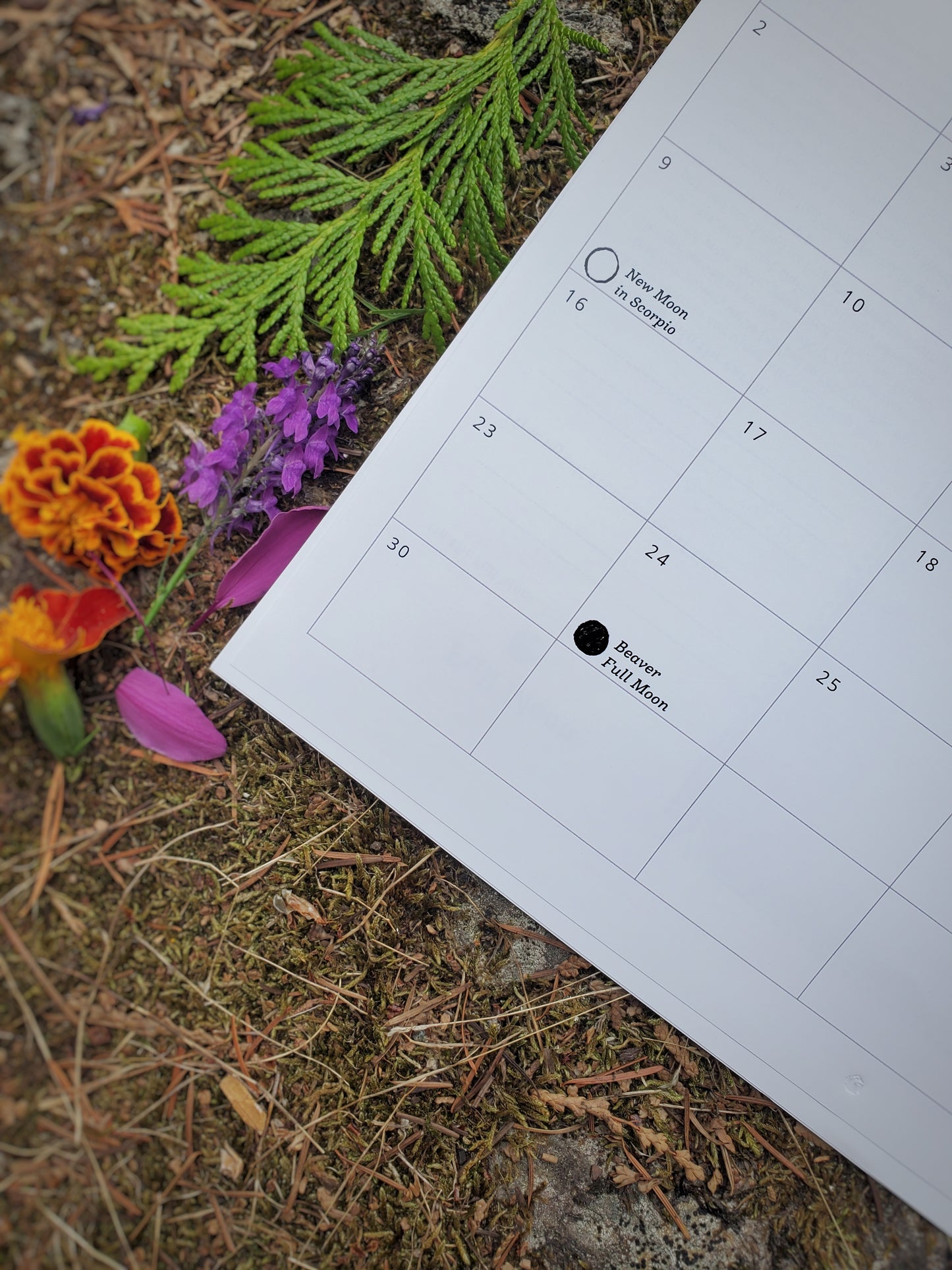 2026 Earth's Hymn Moon Calendar