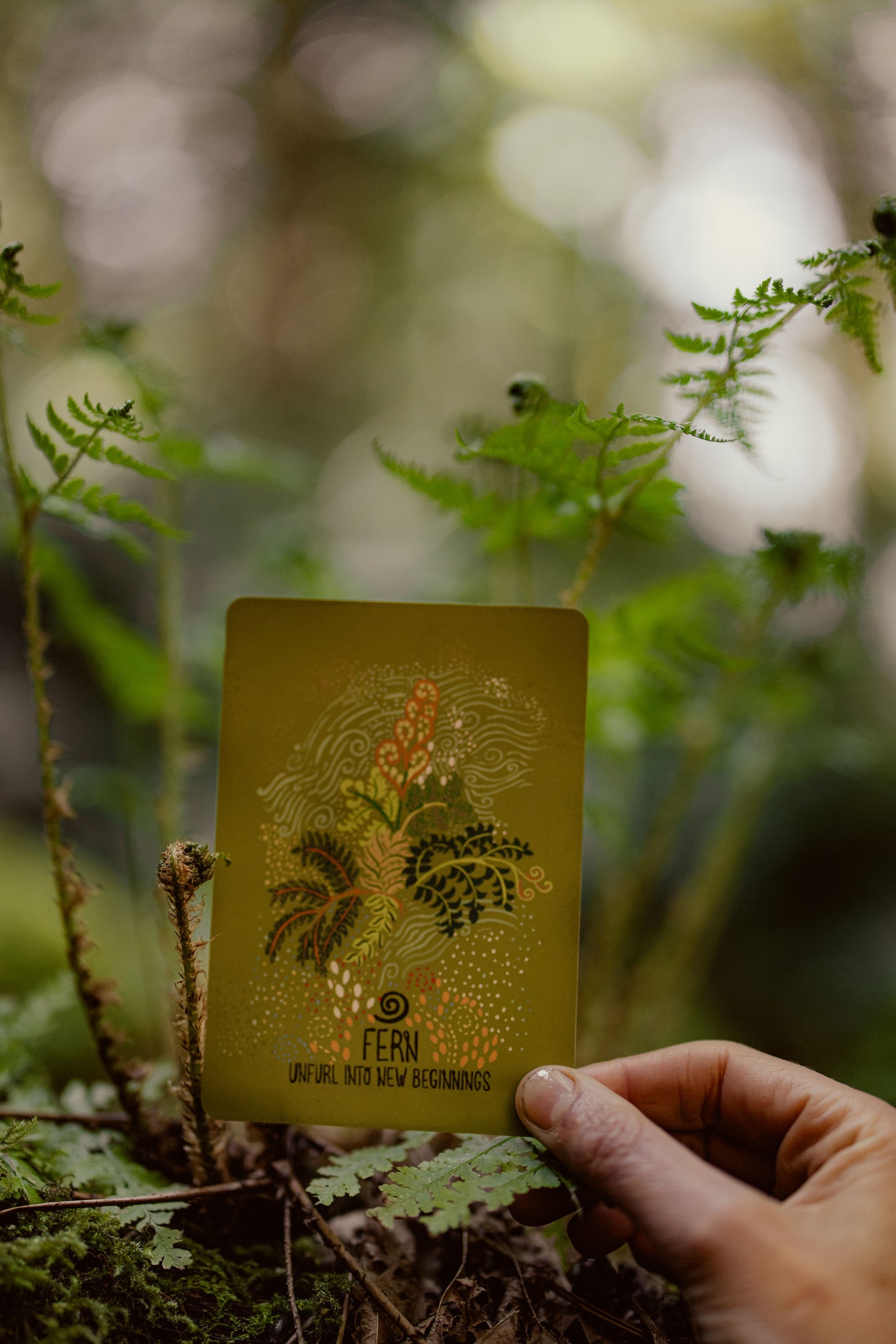 Earth's Hymn Oracle Deck