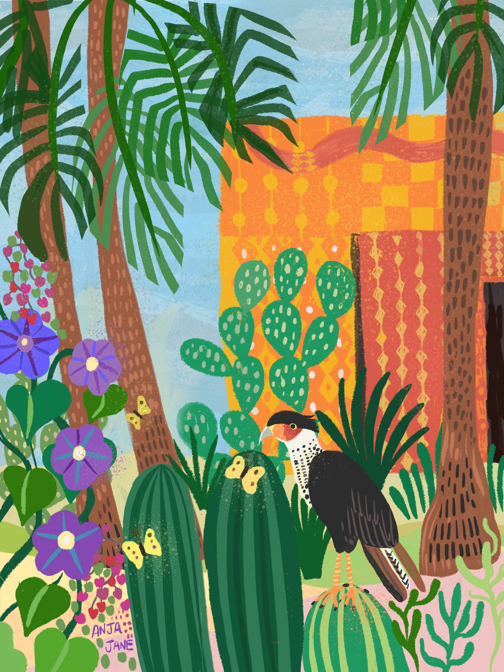 Crested caracara bird art print Baja California Mexico