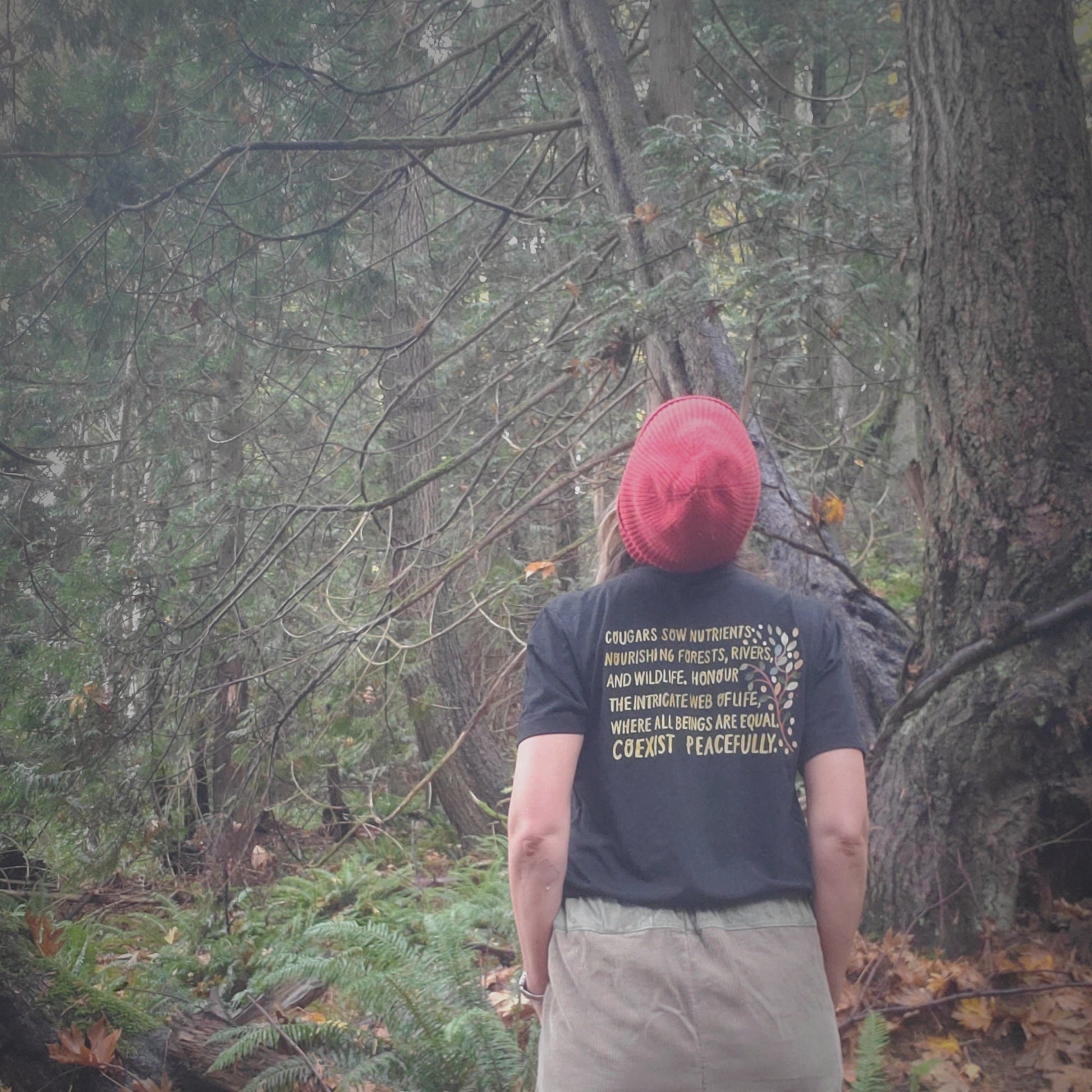 Person wearing a red beanie and dark shirt with text, standing in a forest.