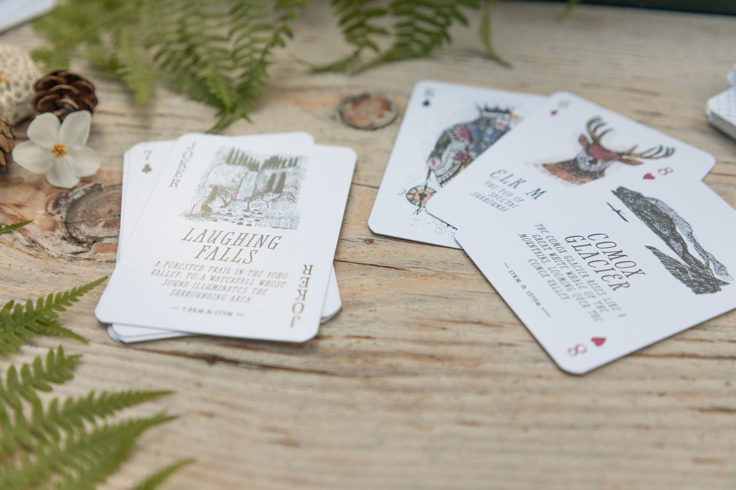 Slightly Damaged Deck of Wander BC