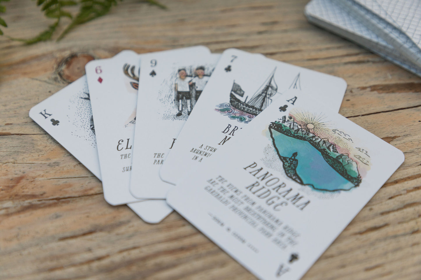 Slightly Damaged Deck of Wander BC