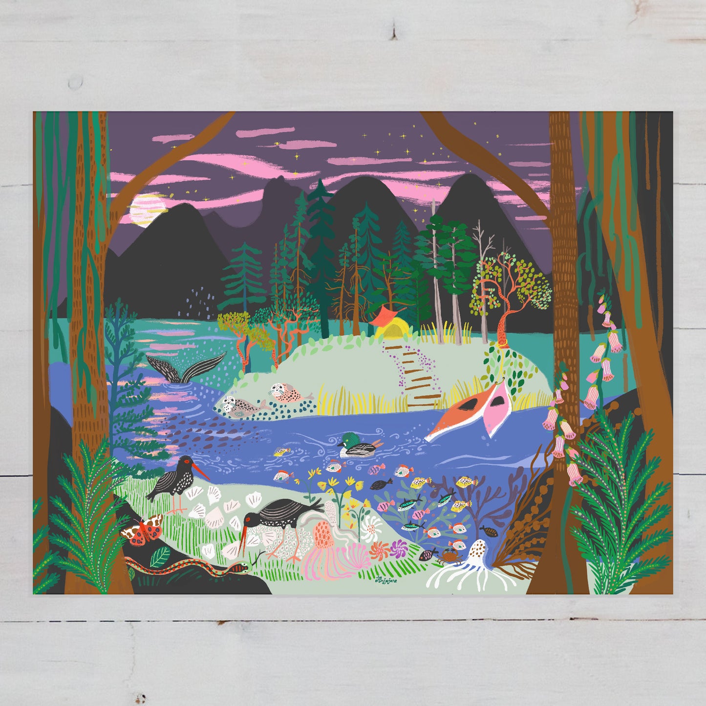 Desolation Sound Art Print