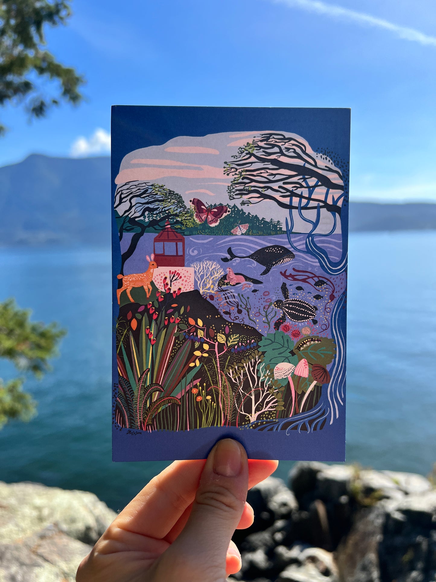 Coastal B.C. Postcard Pack of 8