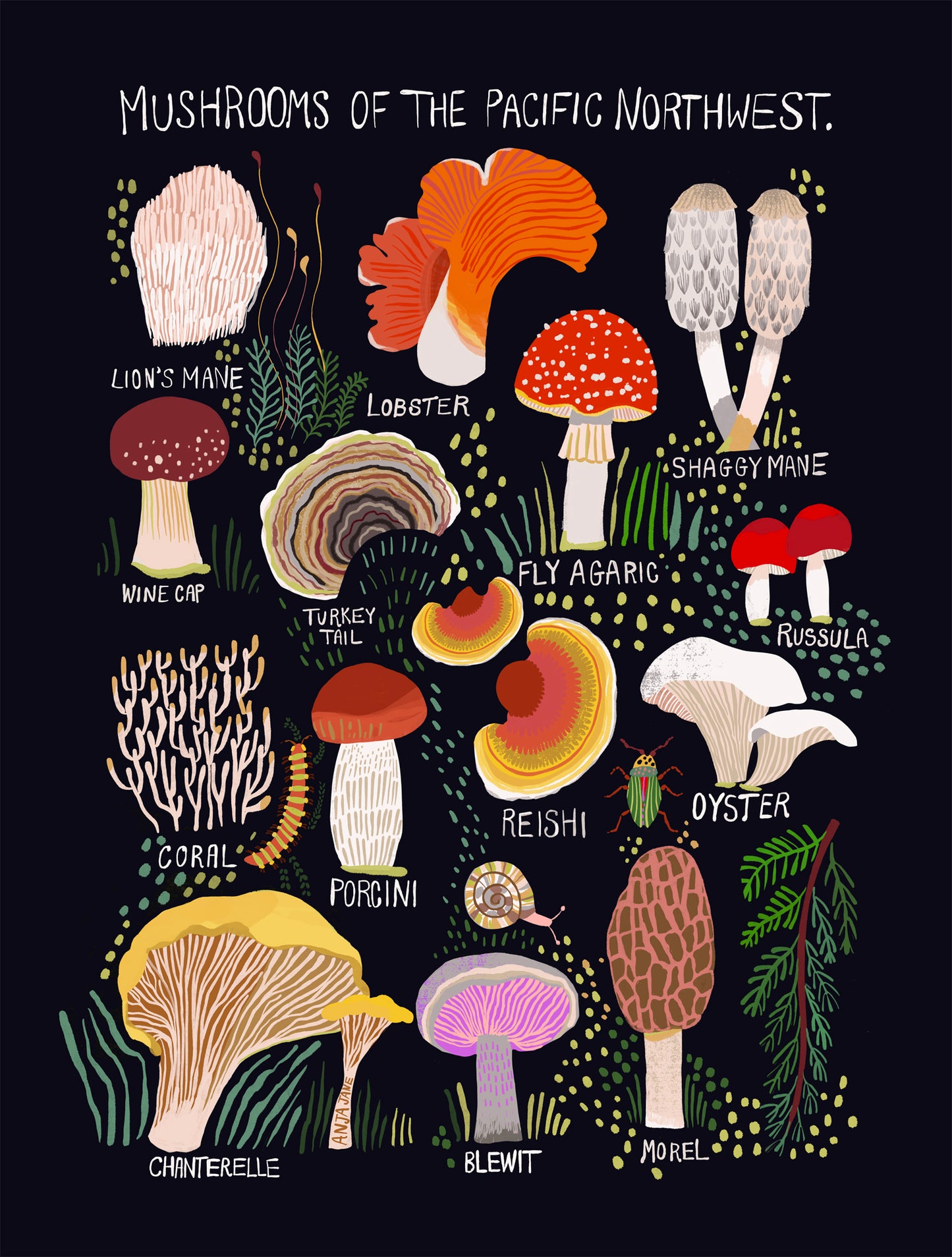 Wild Forage Art Print Set