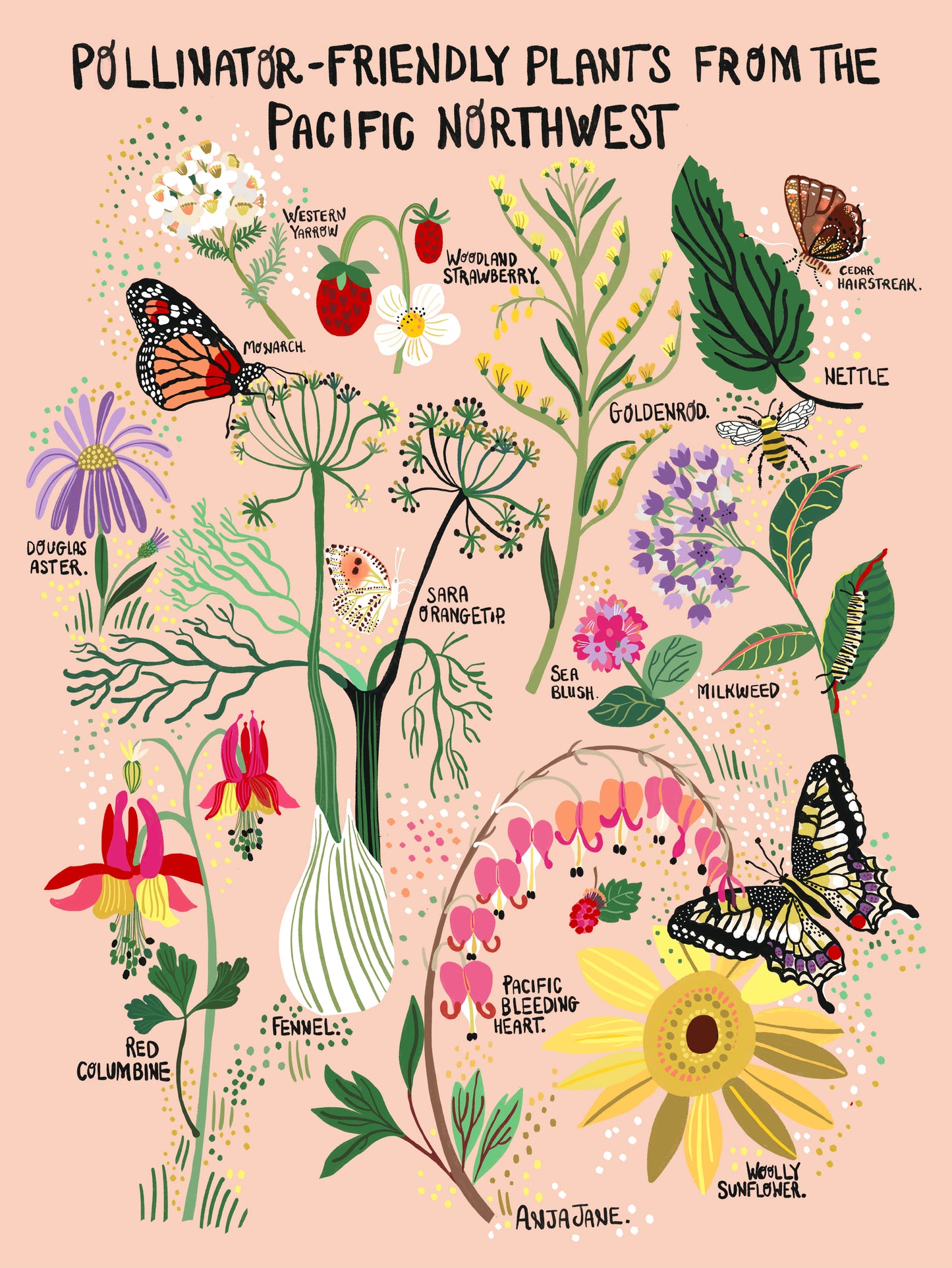 Wildflowers of the Northwest Illustration Flower Print Art Print