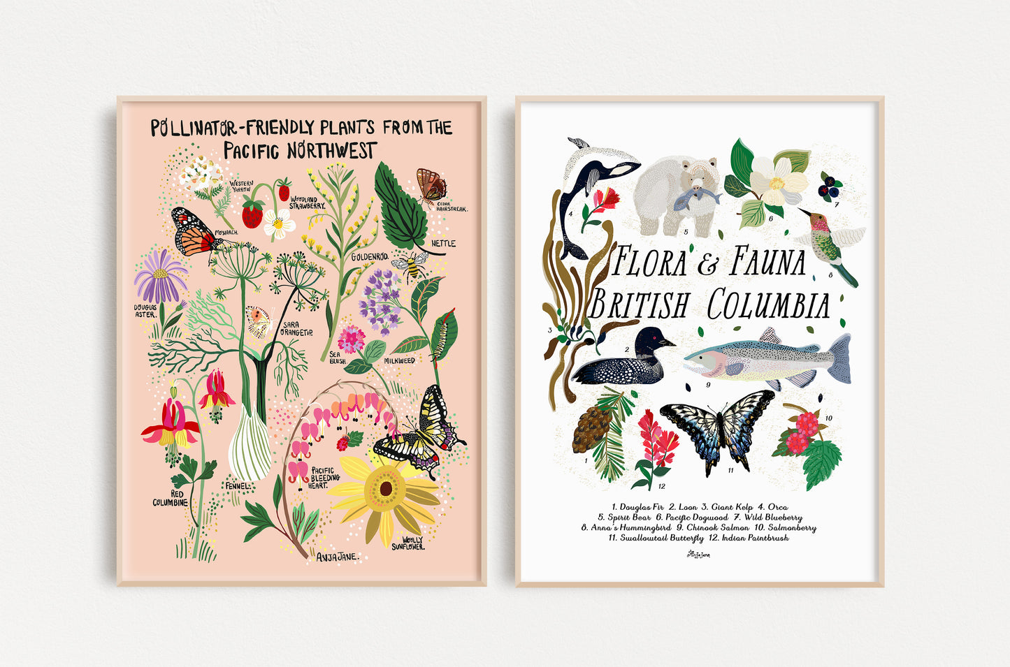 Flora and Fauna No. 1 Art Print Set