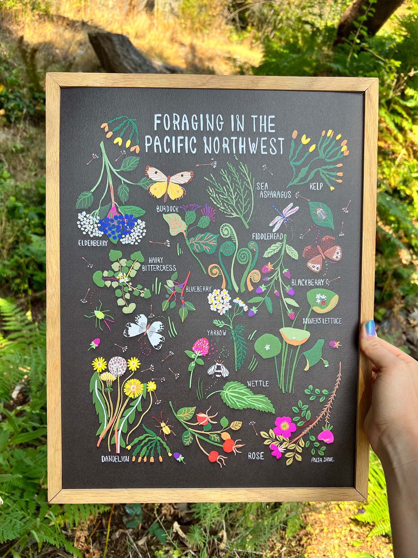 Foraging in the Pacific Northwest Print