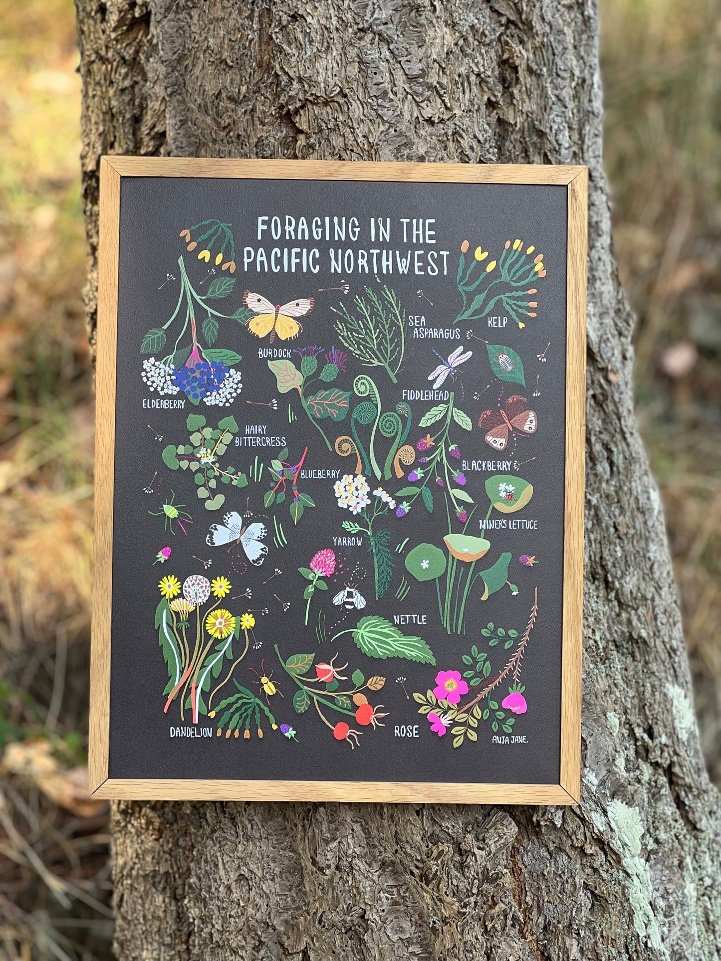 Foraging in the Pacific Northwest Print