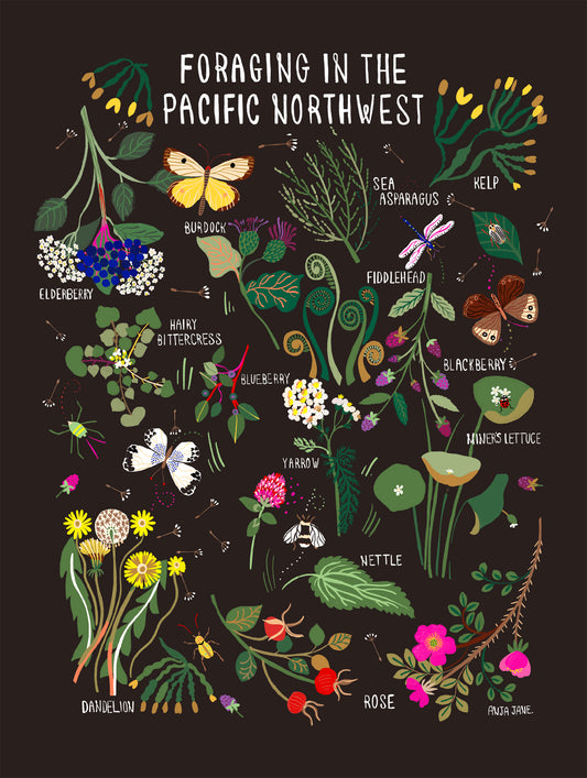 Foraging in the Pacific Northwest Print - R