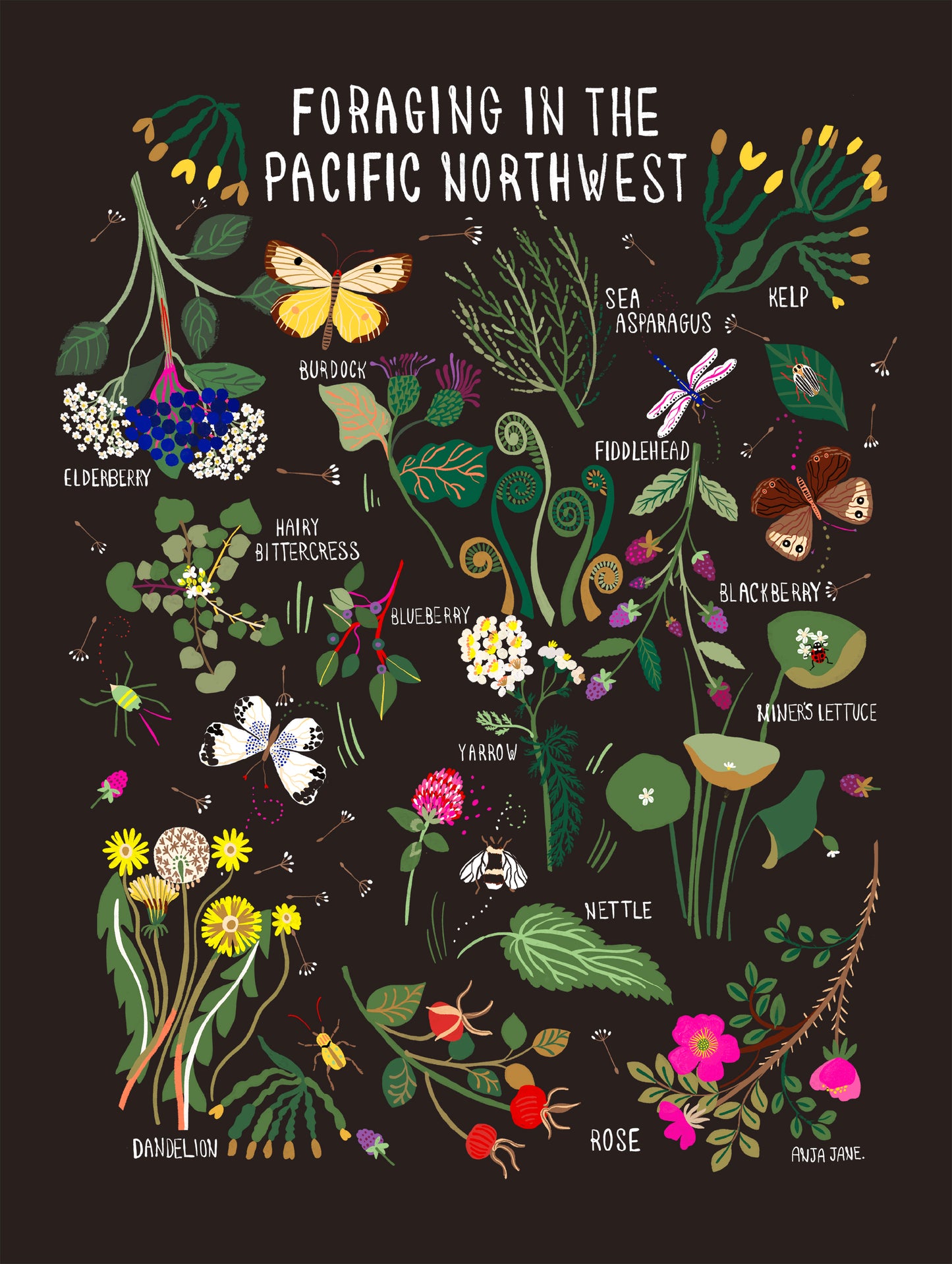 Foraging in the Pacific Northwest Print